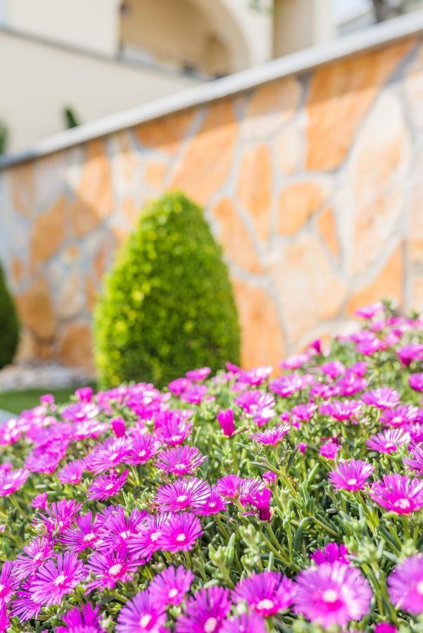 Apartment Carpe Diem Crikvenica Εξωτερικό φωτογραφία